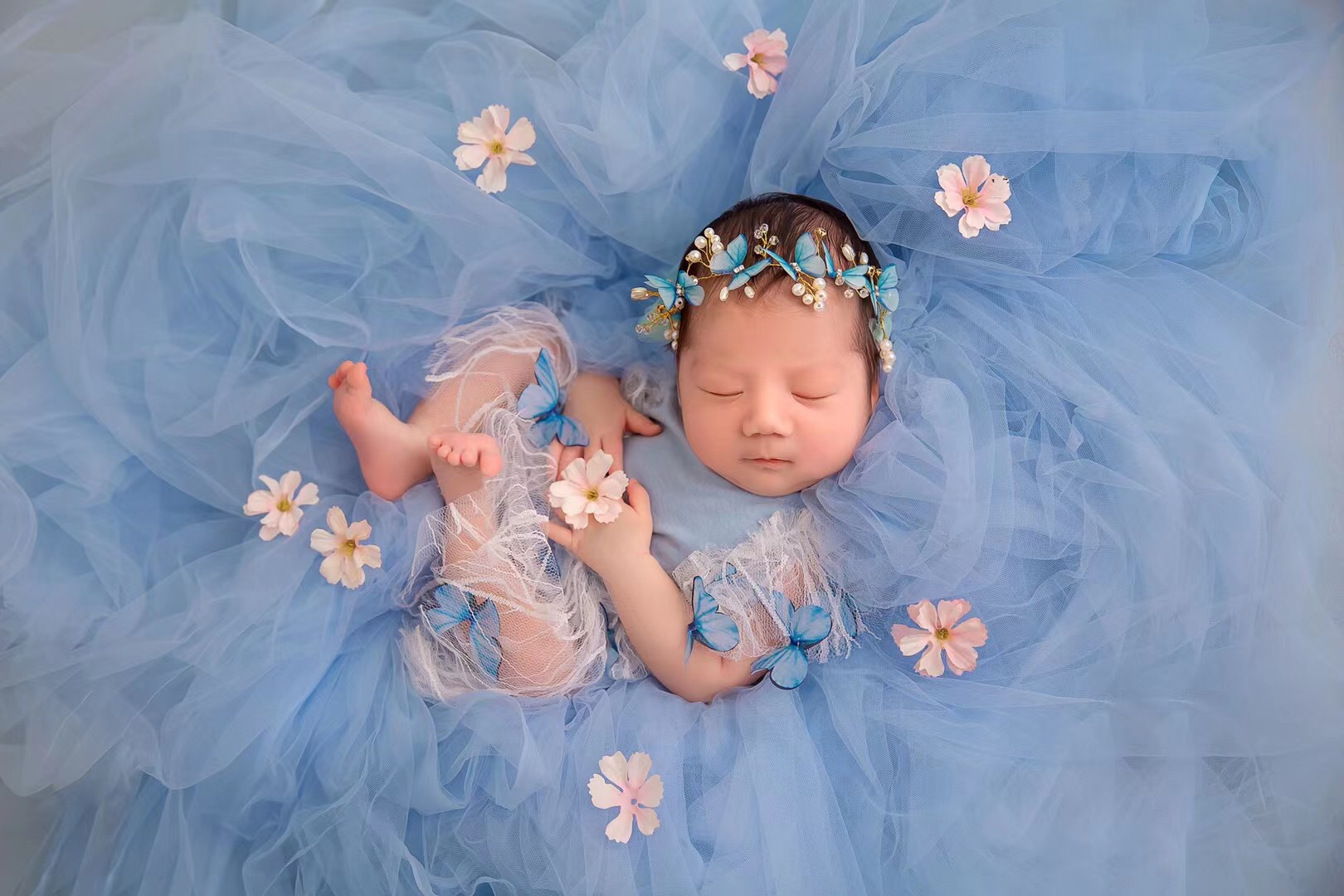 신생아 사진 소품 메쉬 배경 Tulle Posing F - Photography Class 리뷰 및 가격