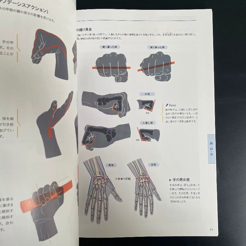 코타 카토가 쓴 미술 해부학 기초 교과서 미술 해부학  - Photography Book 리뷰 및 가격