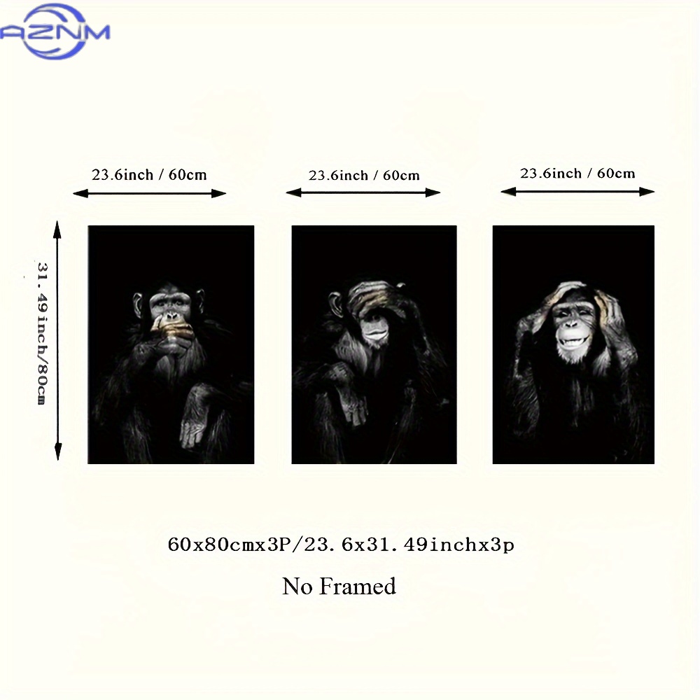 3개/세트 큰 사이즈 프레임 없는 레트로 흑백 인쇄 포 - Photography Kit 리뷰 및 가격